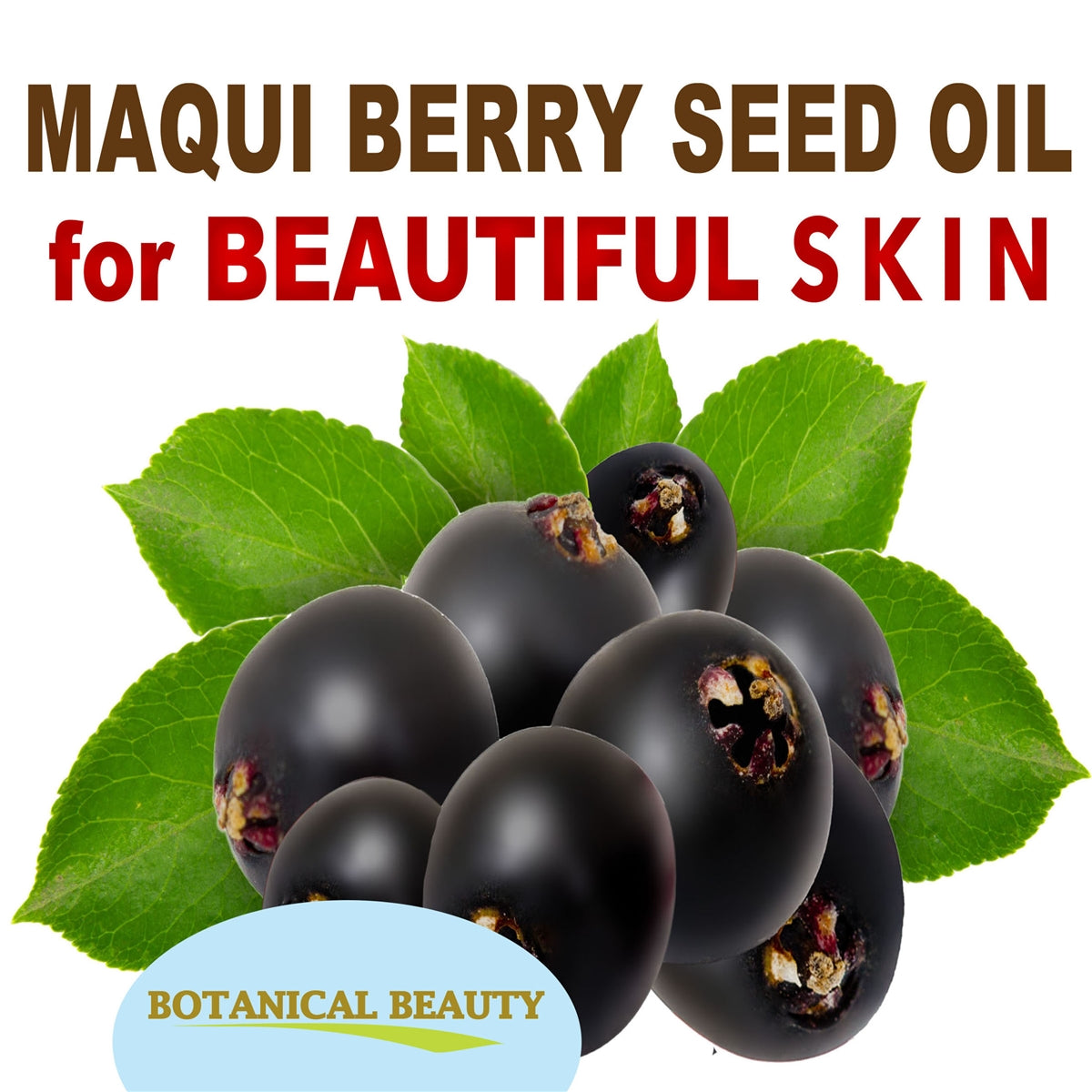 Aceite de semilla de baya de maqui