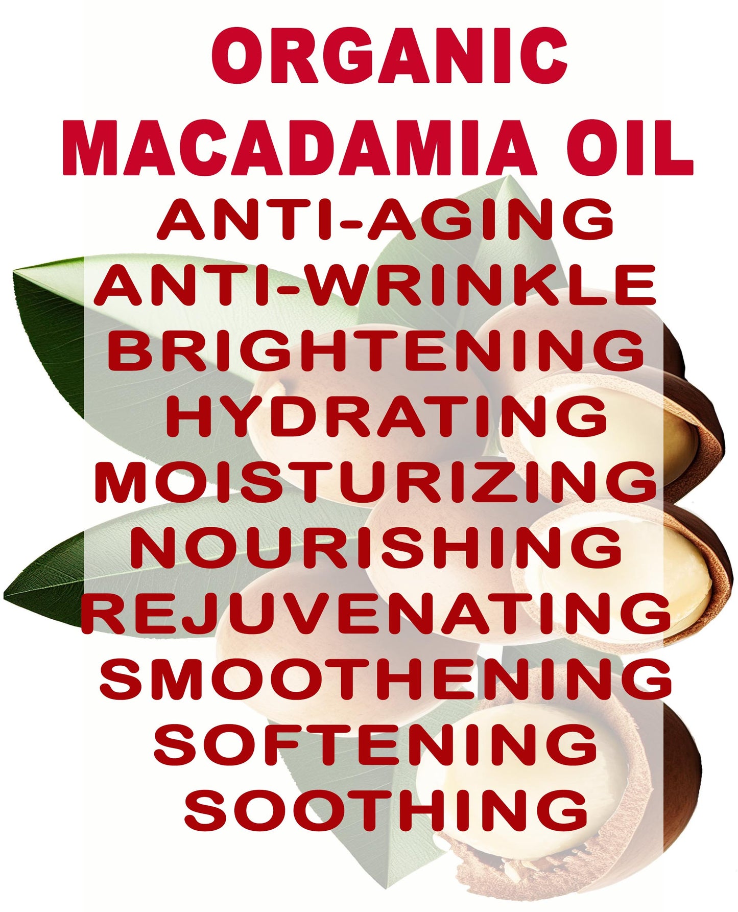 Organic Macadamia Oil