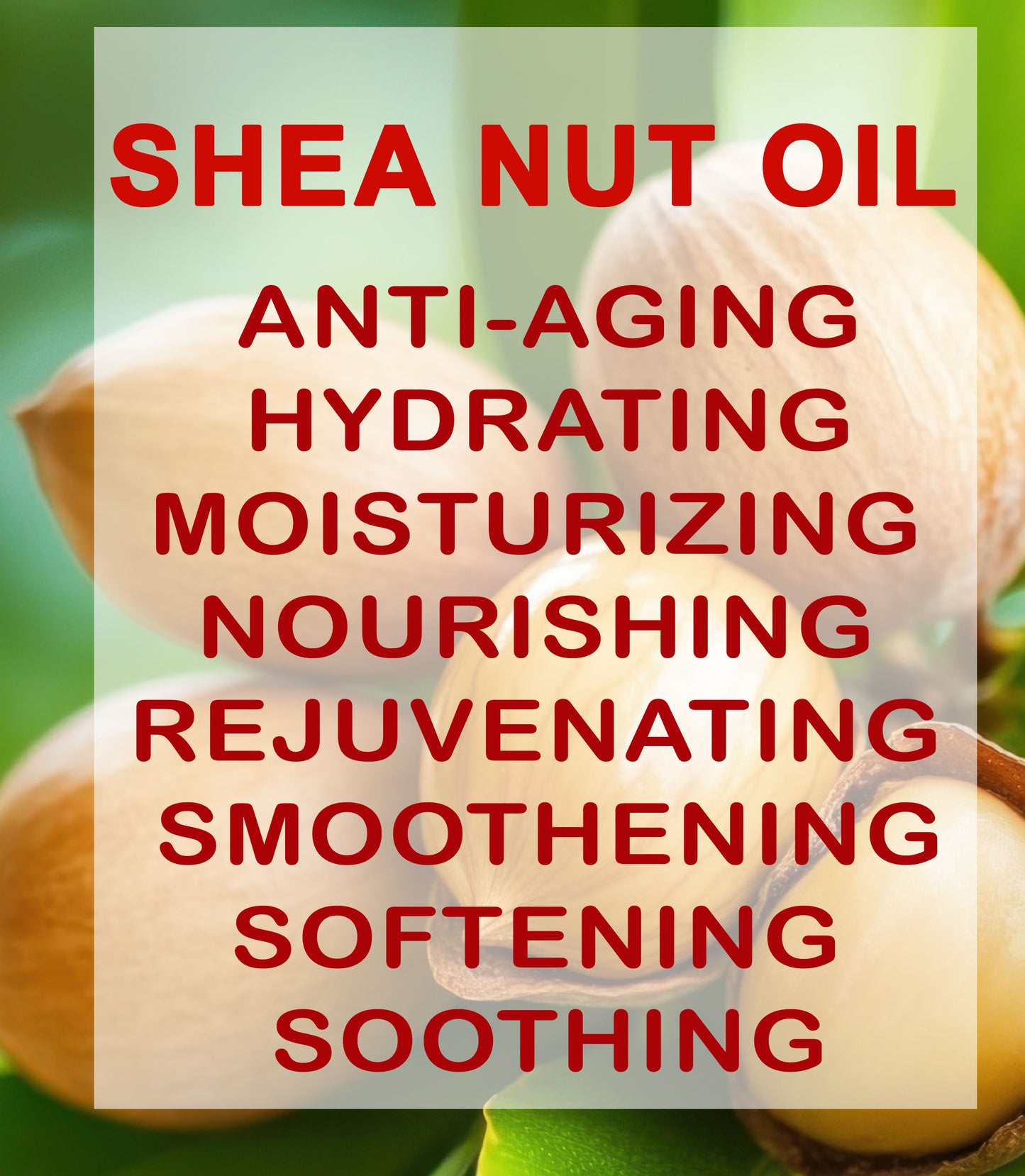 Shea Nut Oil