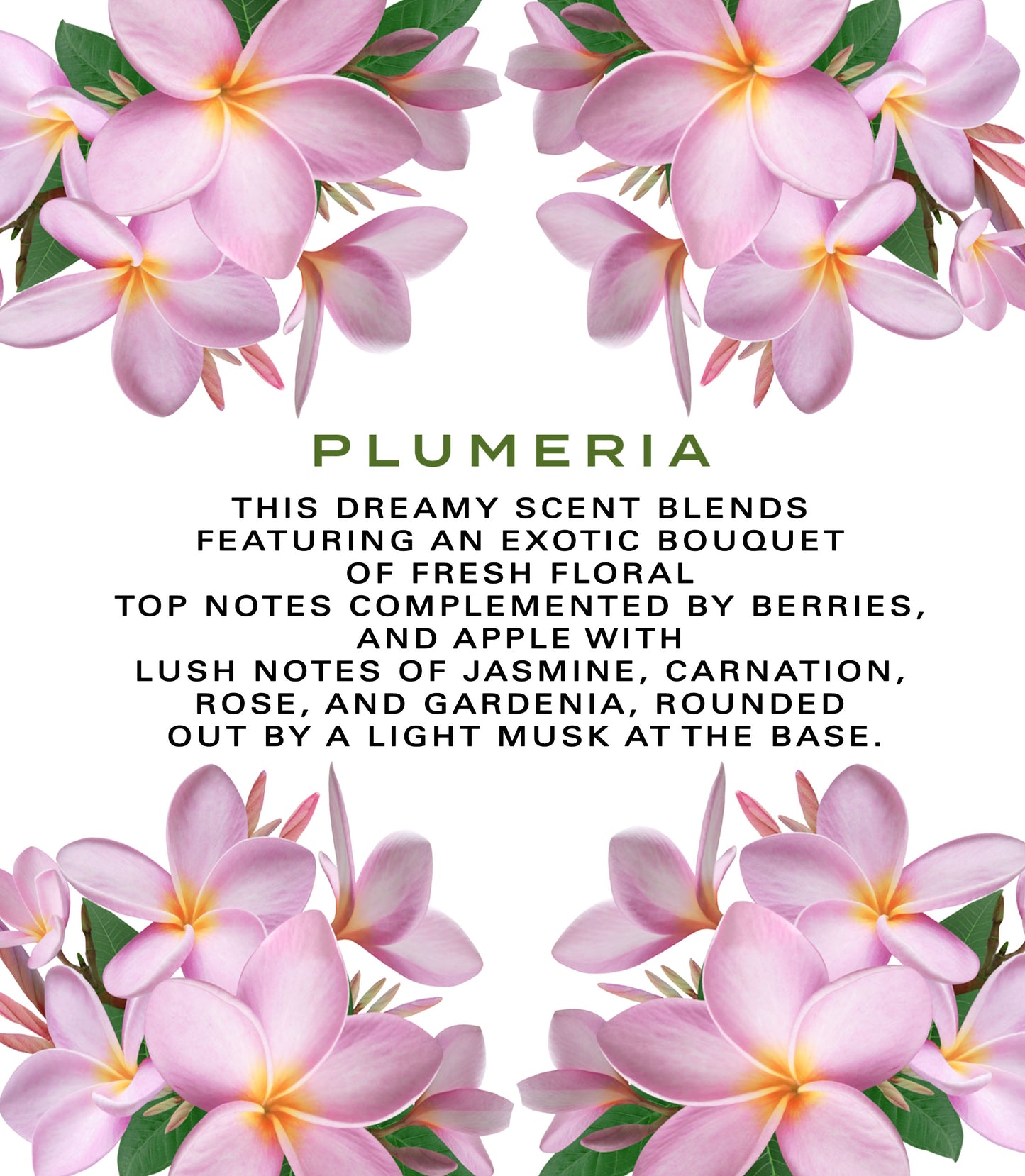 Plumeria Whipped Body Butter