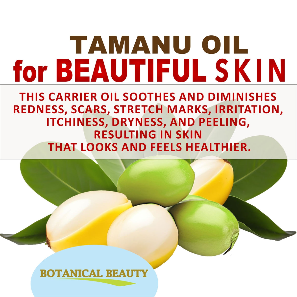 Tamanu Oil