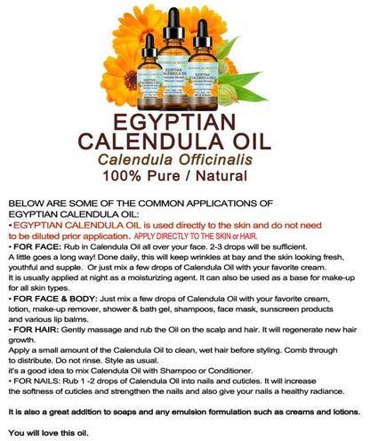 Egyptian Calendula Oil