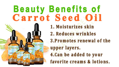 Carrot Seed Oil