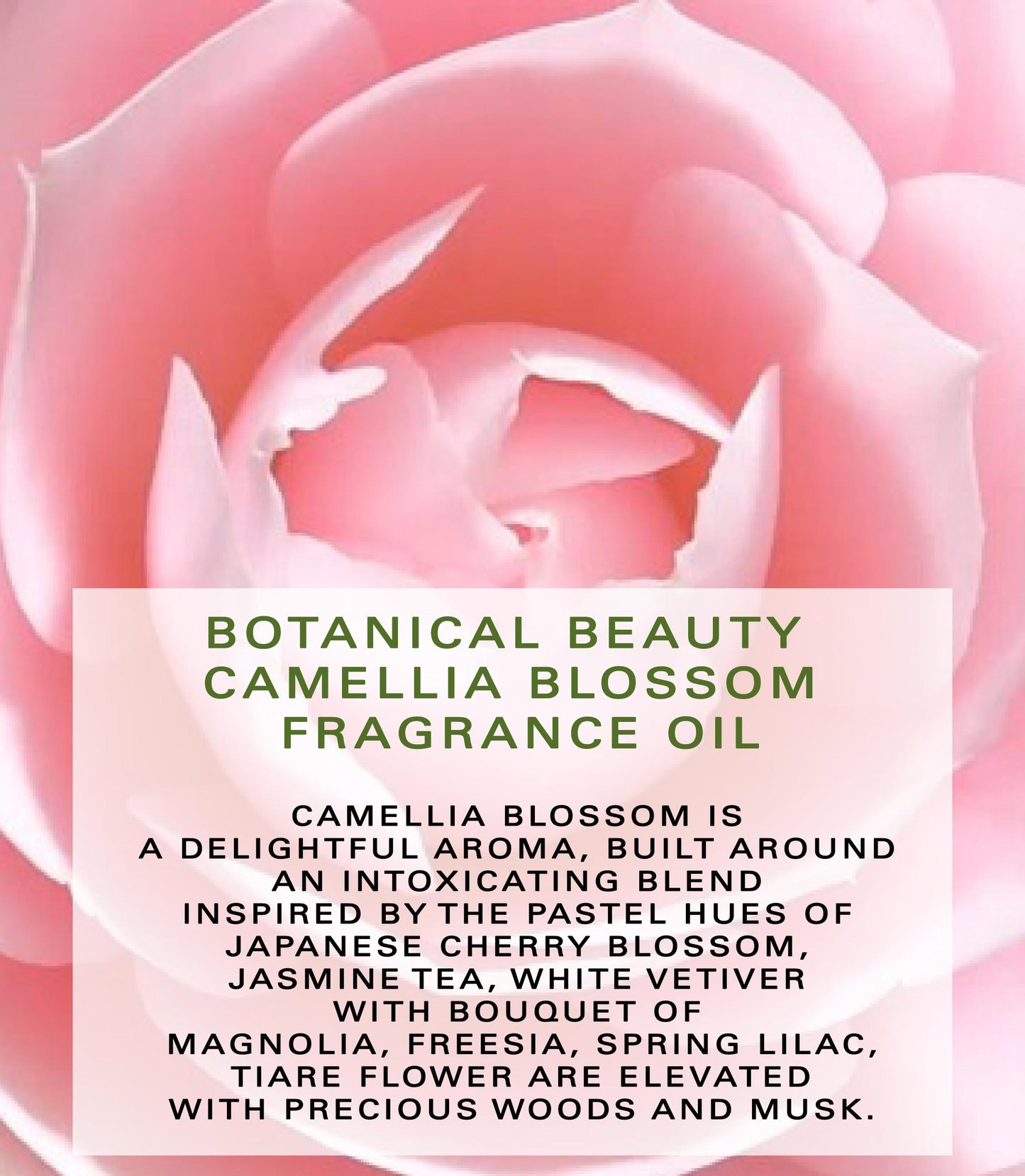 Camellia Blossom Fragrance Oil