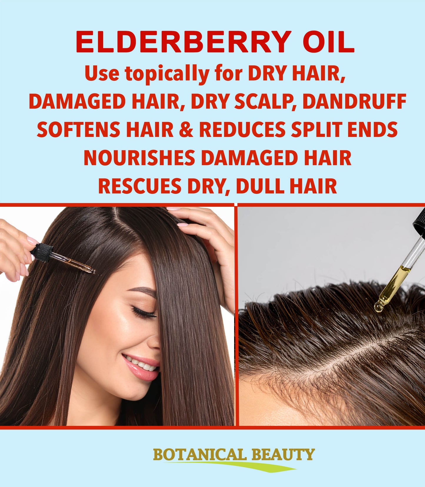 Elderberry Oil