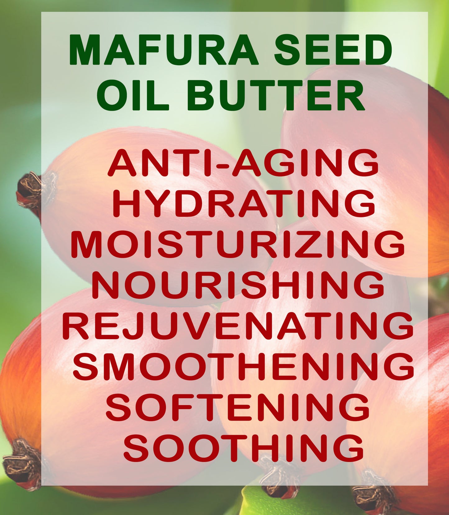Mafura Seed Oil Butter