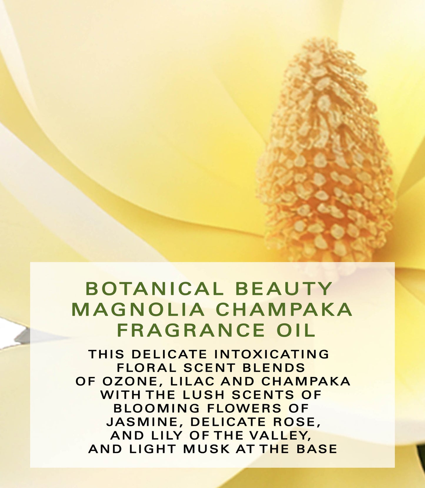 Magnolia Champaka Fragrance Oil