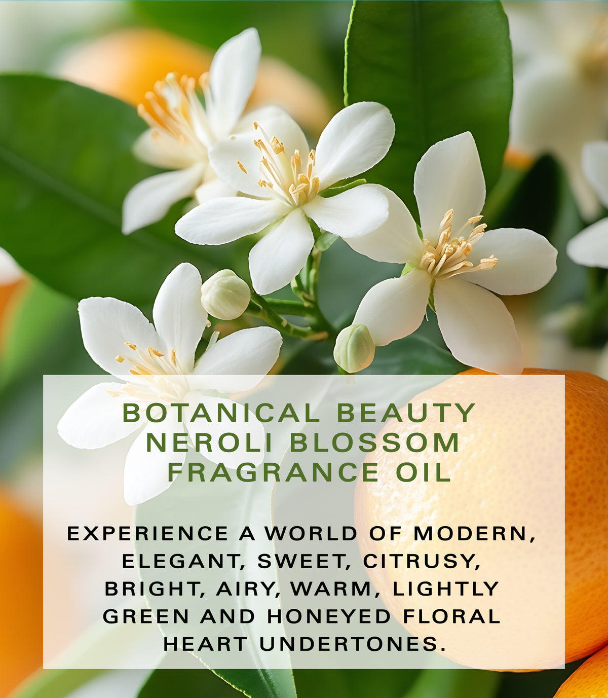 Neroli Blossom Fragrance Oil