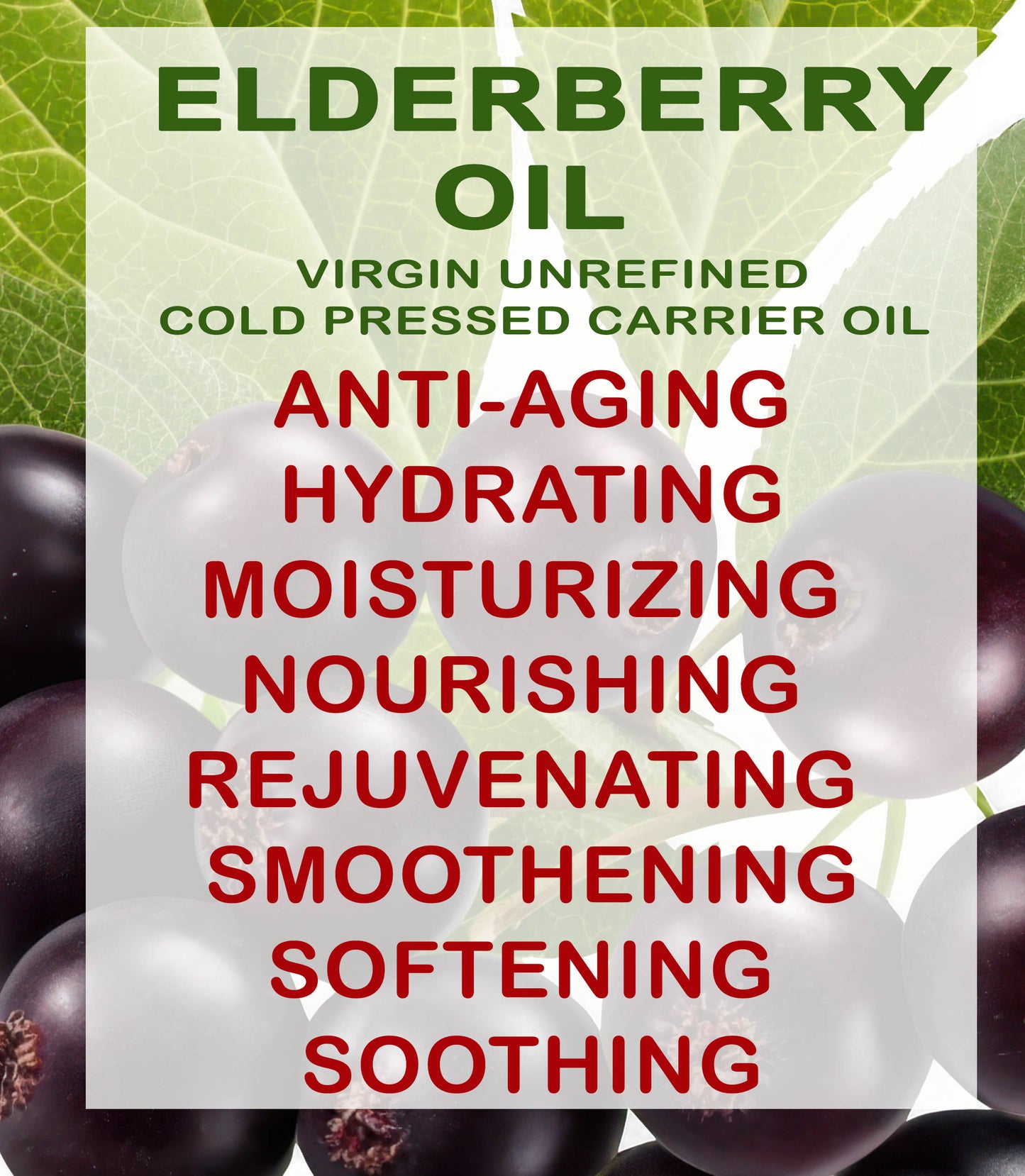 Elderberry Oil