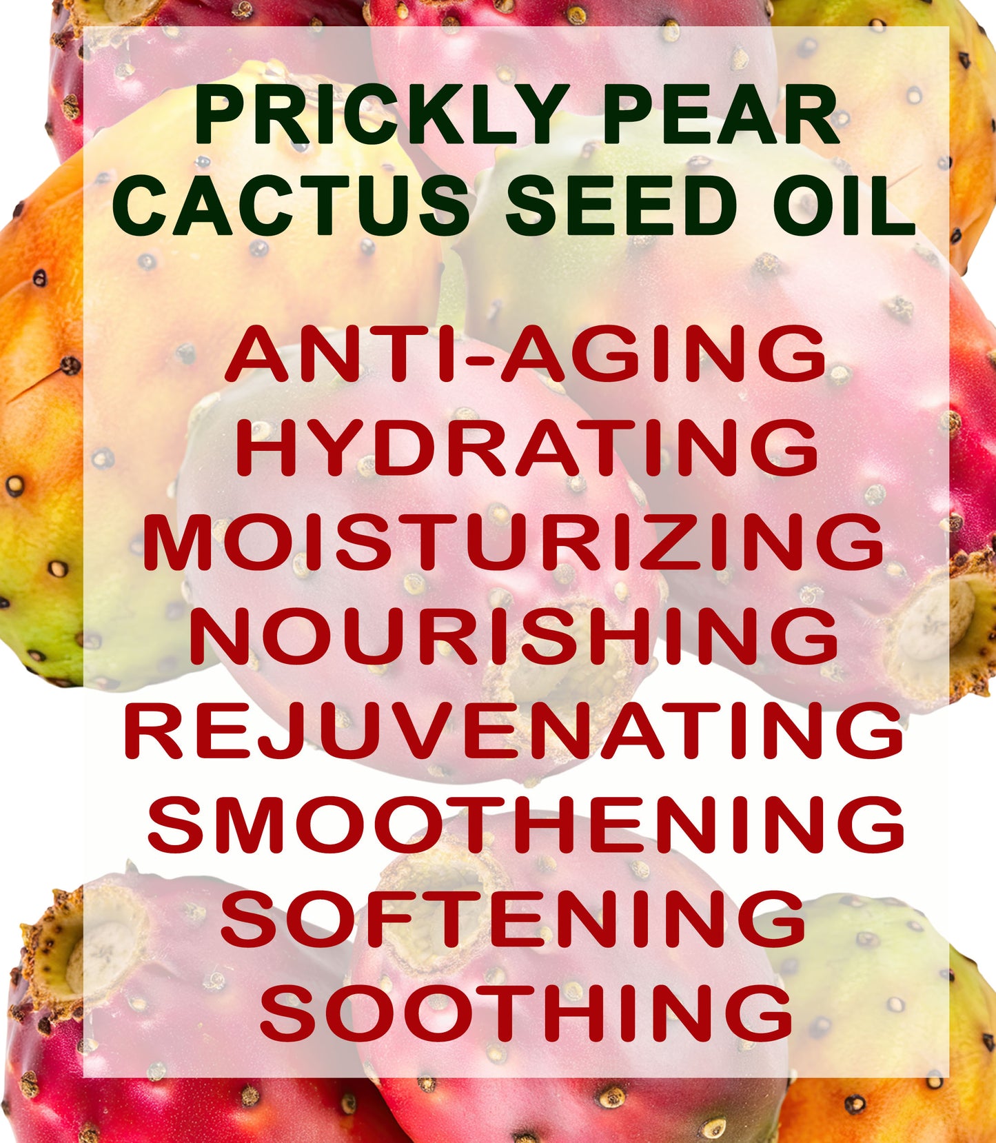Prickly Pear Cactus Seed Oil
