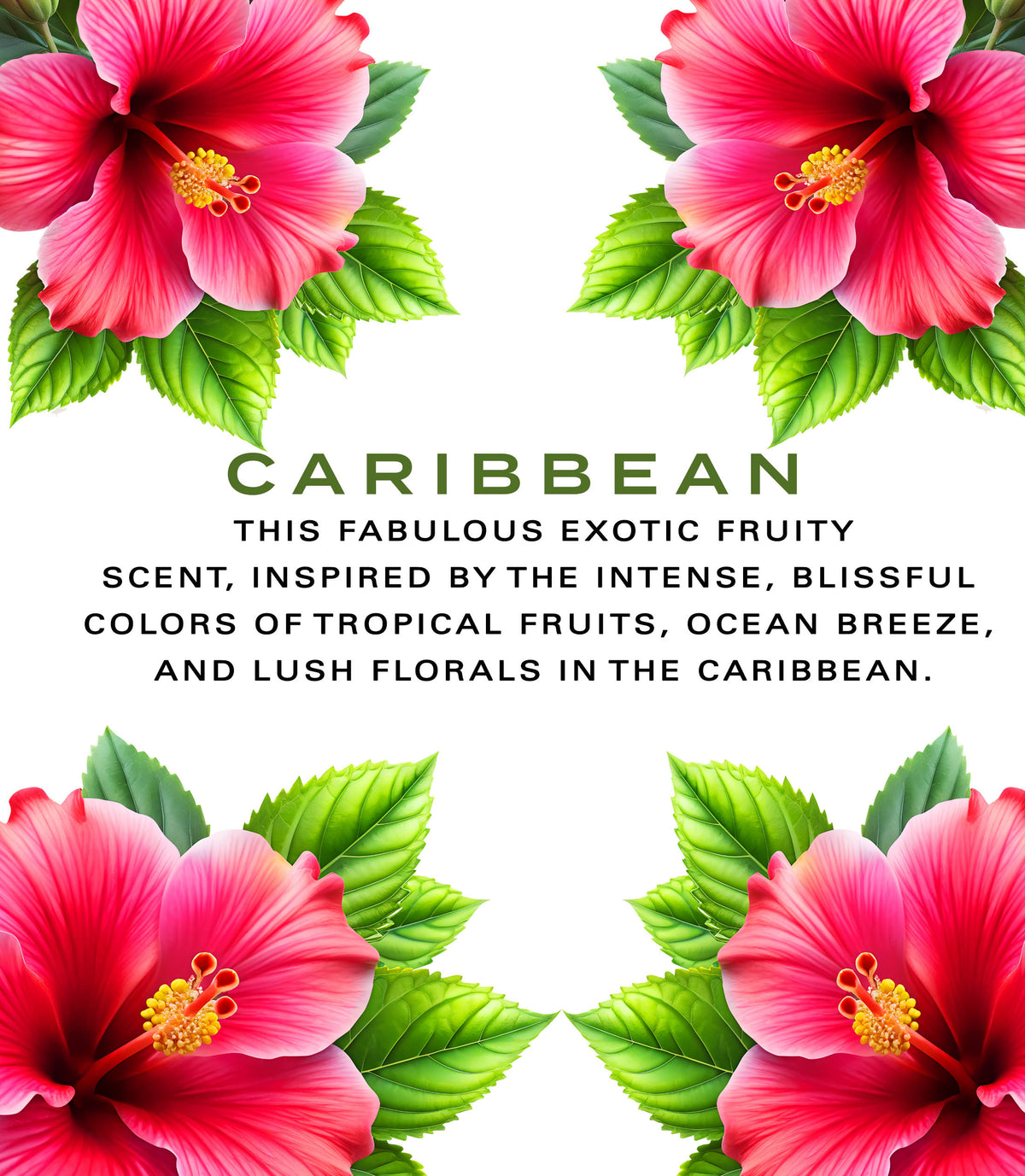 Caribbean Whipped Body Butter