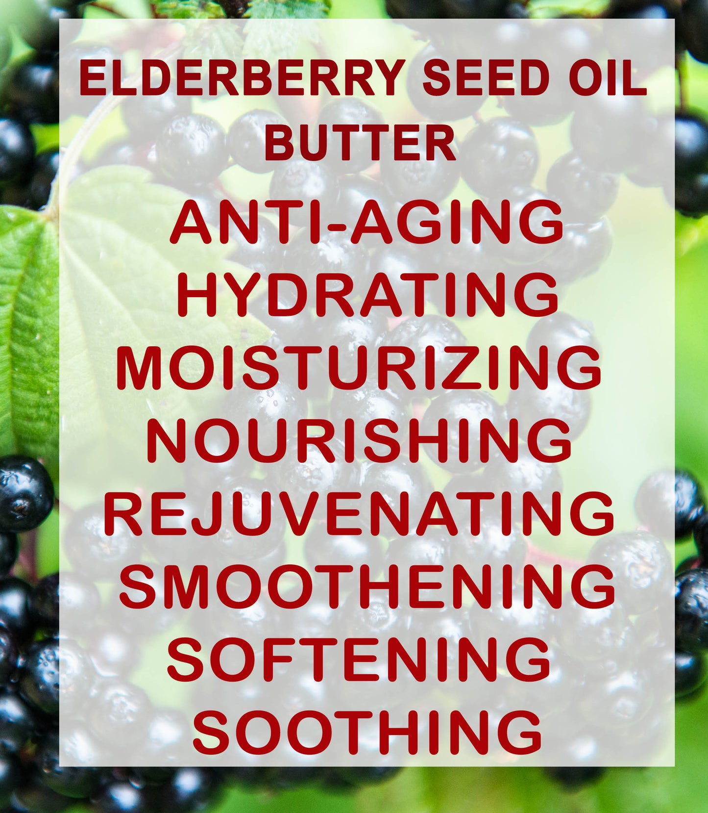 Elderberry Oil Butter