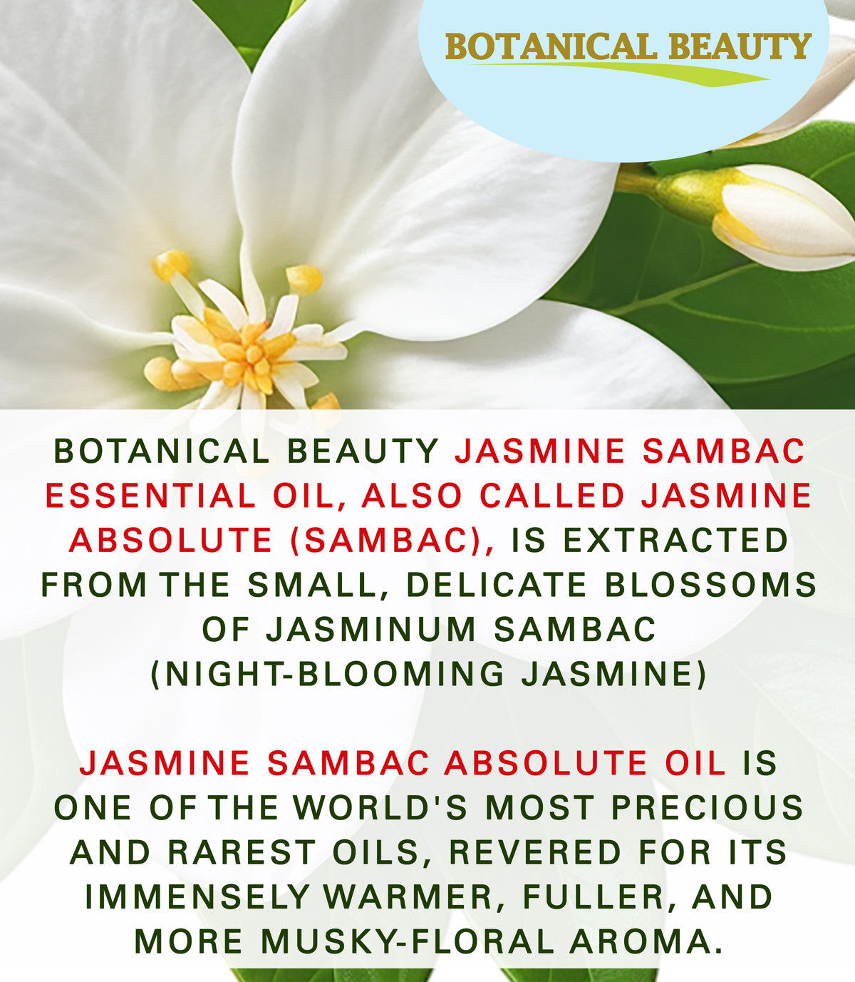 Jasmine Sambac Essential Oil Roll on