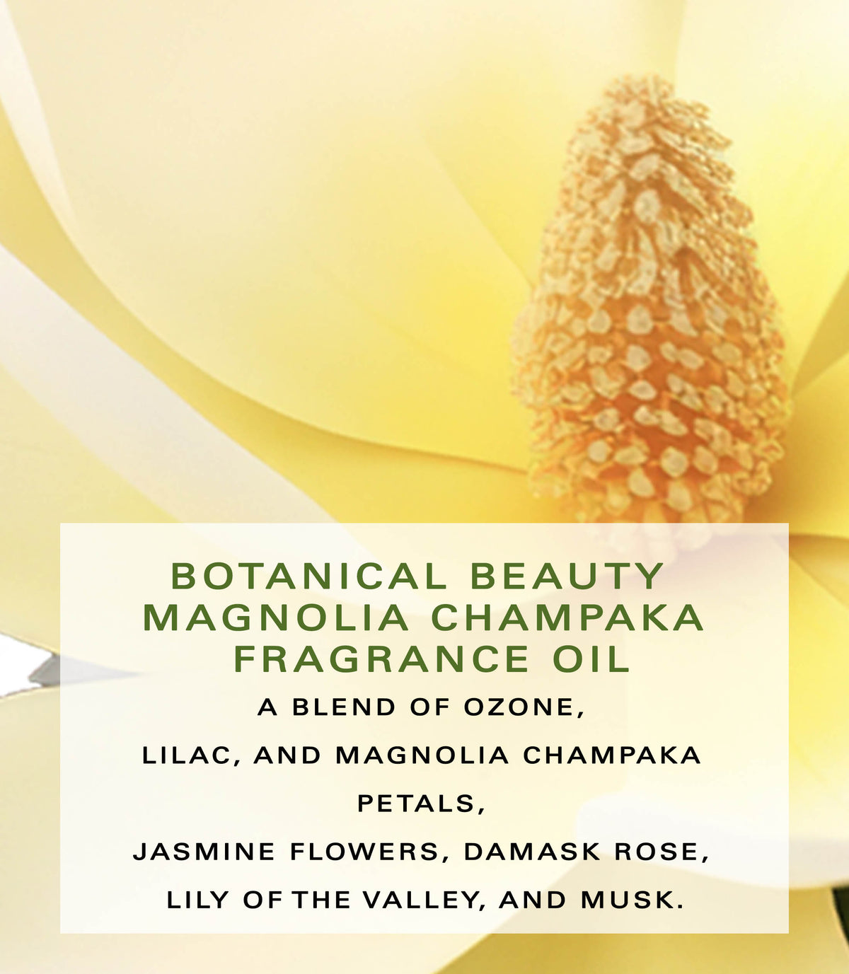 Magnolia Champaka Fragrance Oil