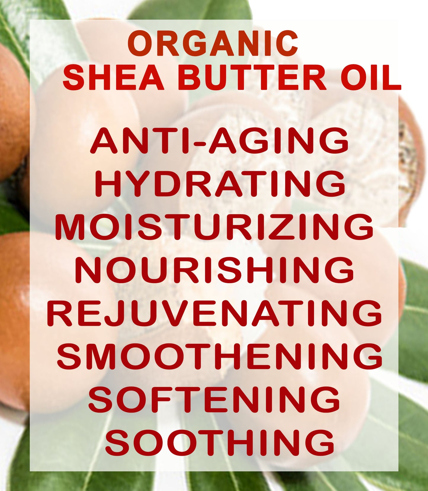 Organic Shea Butter Oil