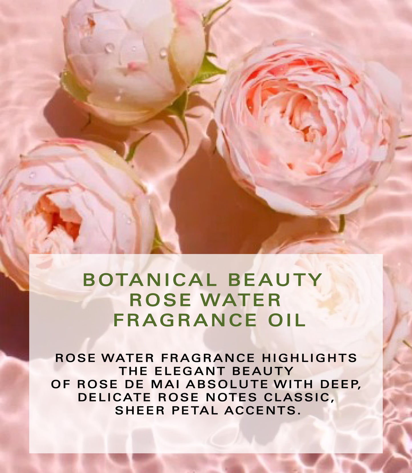 Rose Water Fragrance Oil