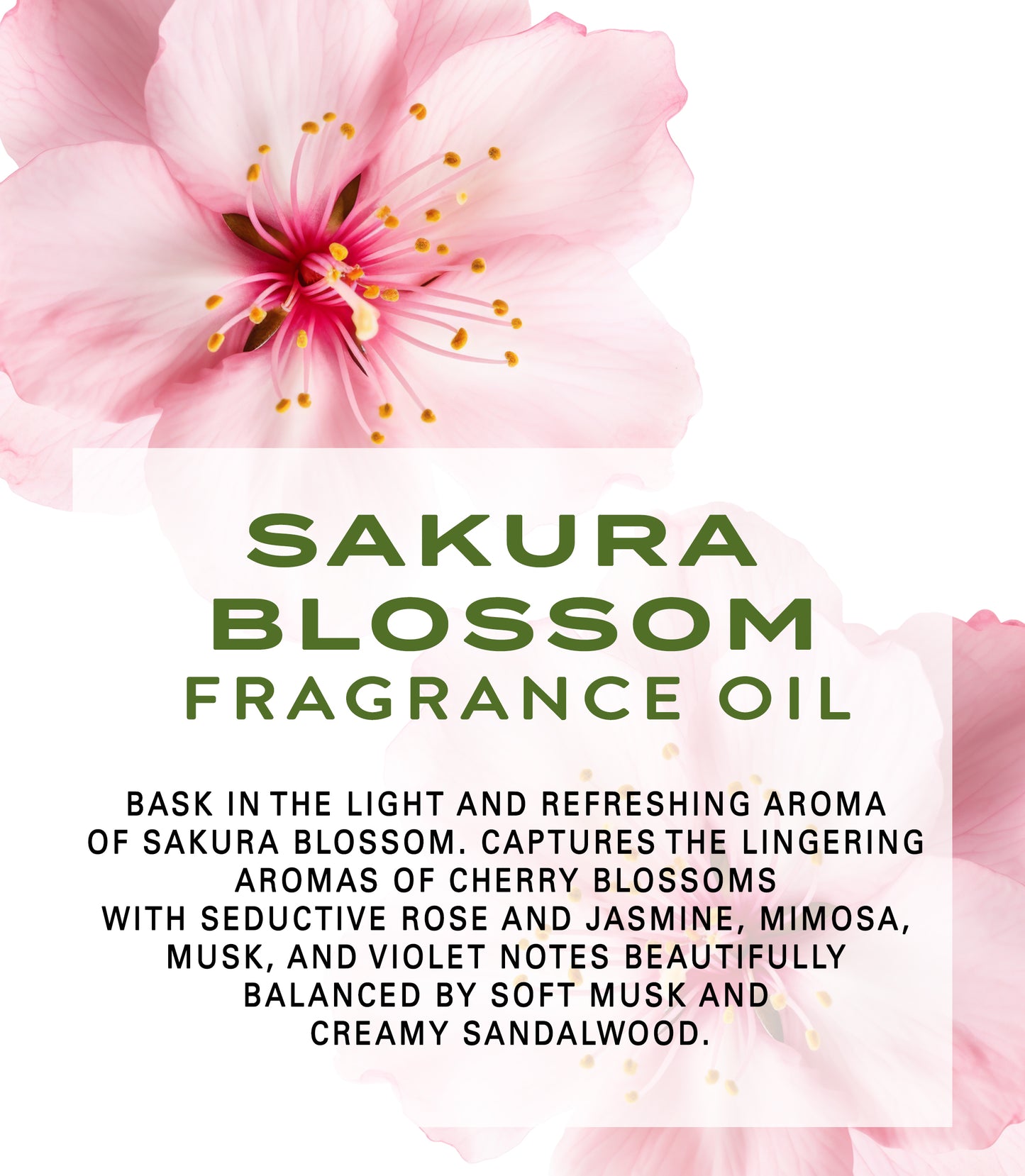 Sakura Blossom Fragrance Oil