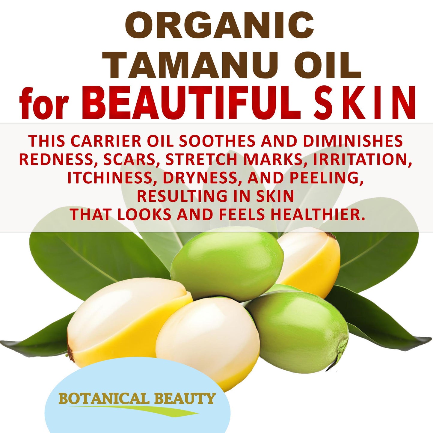 Organic Tamanu Oil