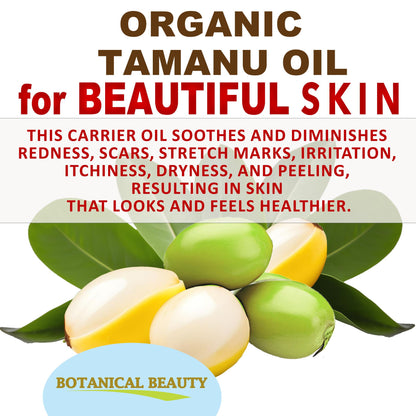 Organic Tamanu Oil