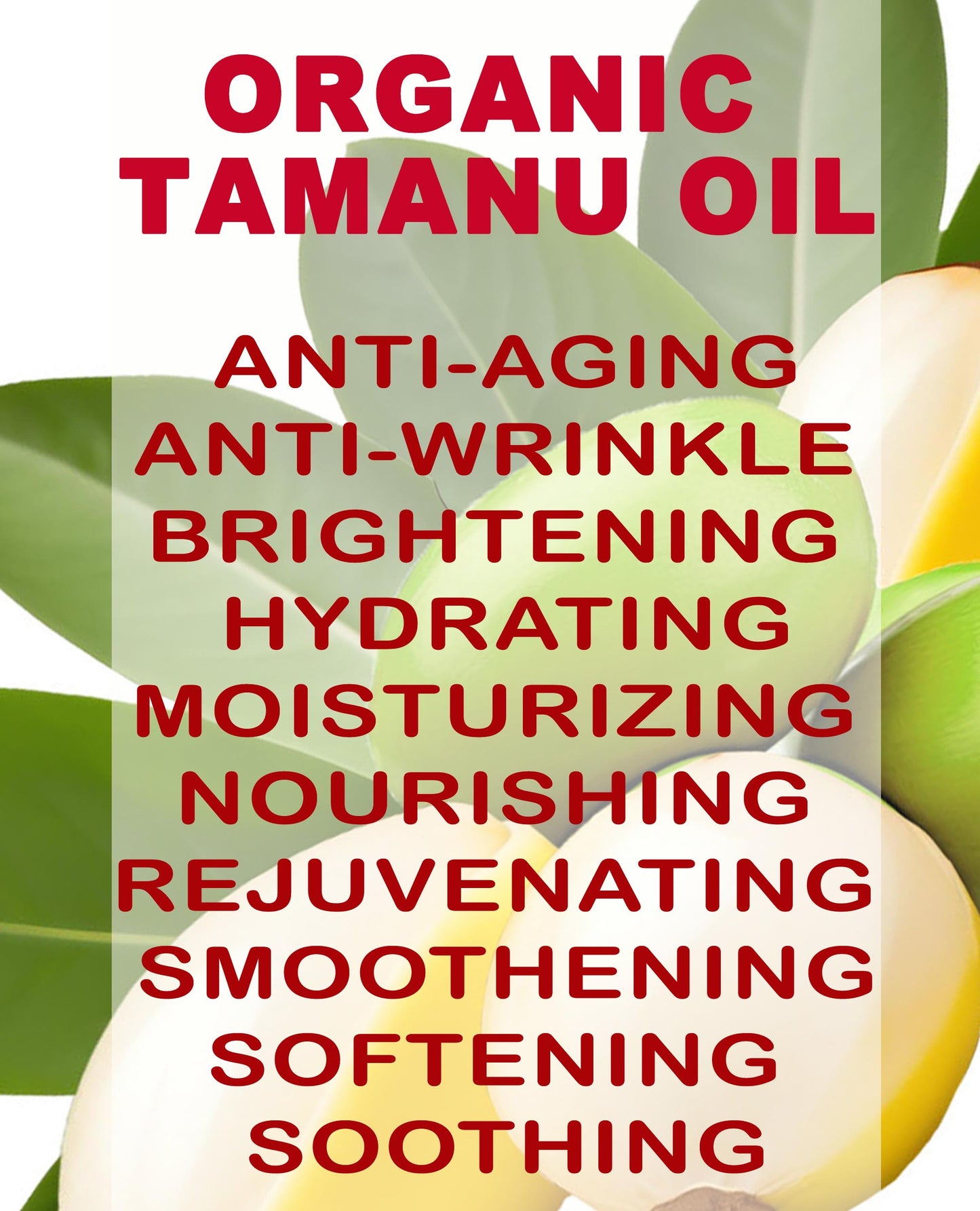 Organic Tamanu Oil