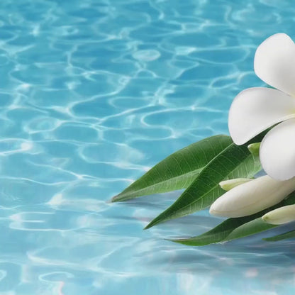 Plumeria Fragrance Oil