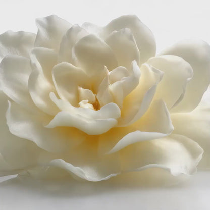 Gardenia Fragrance Oil