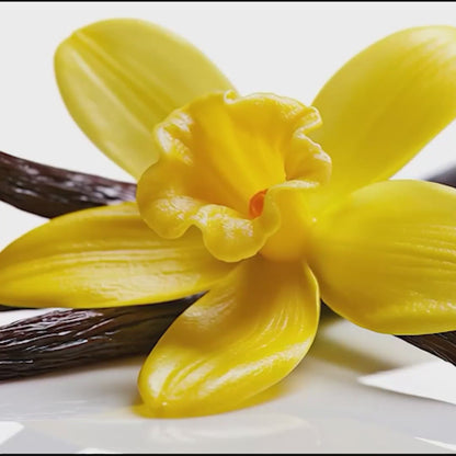Aceite aromático de vainilla francesa