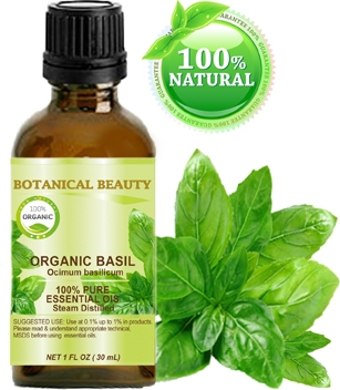 Organic Basil Essential Oil 100 Pure 1 Fl oz 30 ml